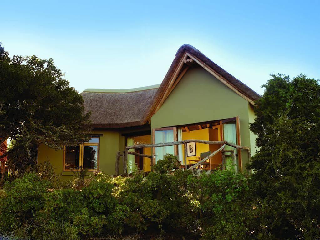 Kuzuko Lodge Addo Exterior photo